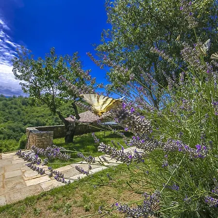 Villa Beautiful Stone With Private Pool Near Rabac By Wiibuk Barbici